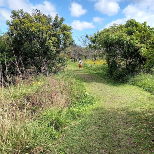 Parque Urbano do Bolaxa