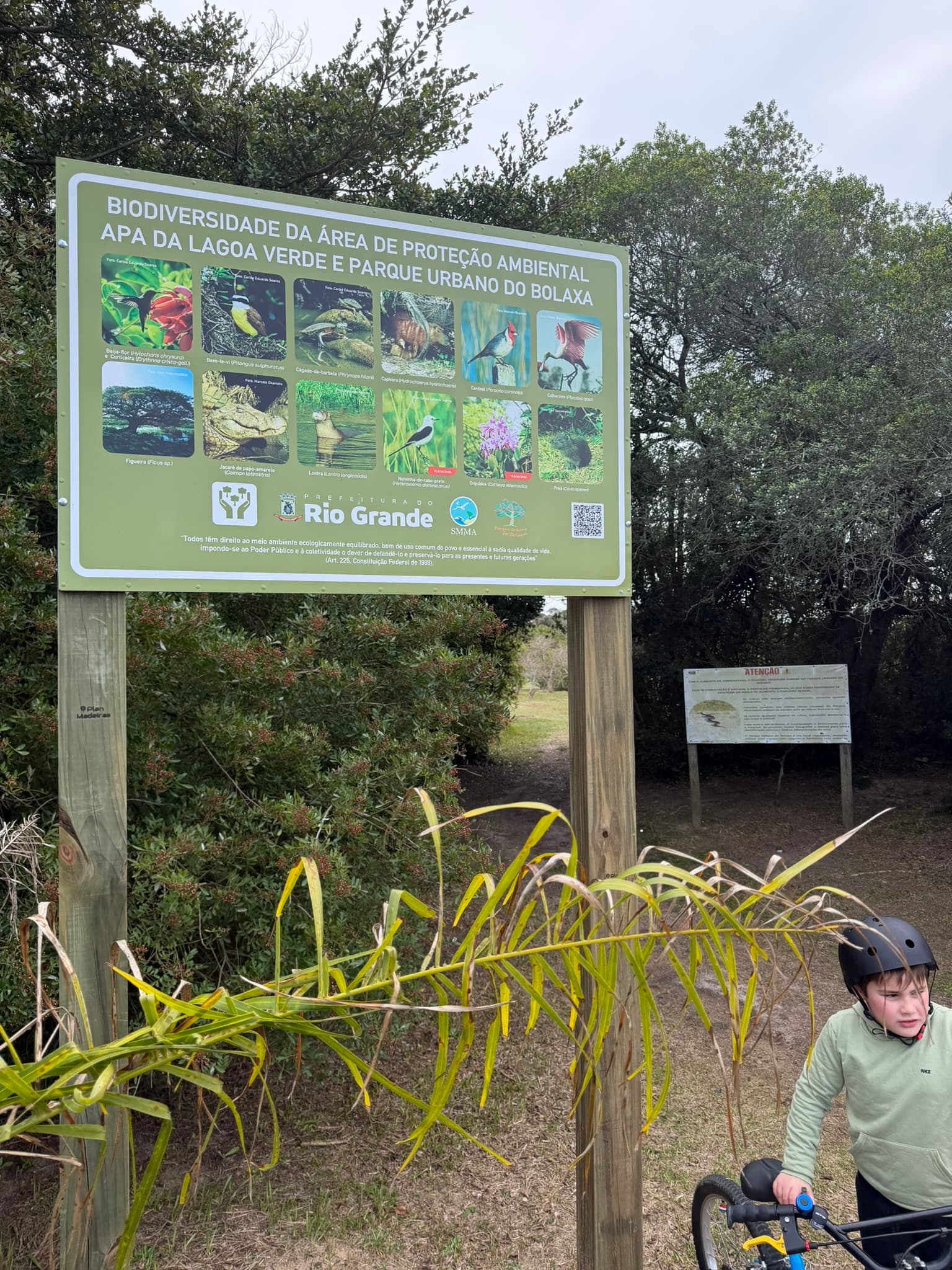 Fotografia de uma grande placa verde informativa intitulada "Biodiversidade da Área de Proteção Ambiental APA da Lagoa Verde e Parque Urbano do Bolaxa", que exibe uma grelha com fotografias de vários